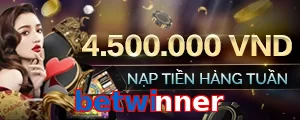 betwinner