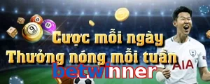 betwinner